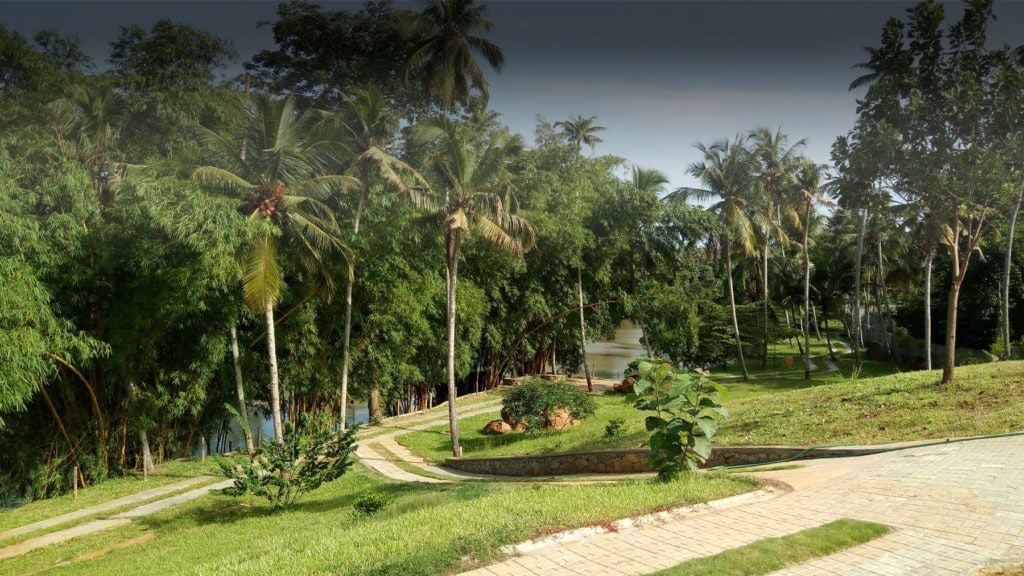Mekosha Ayurveda Spasuites Retreat